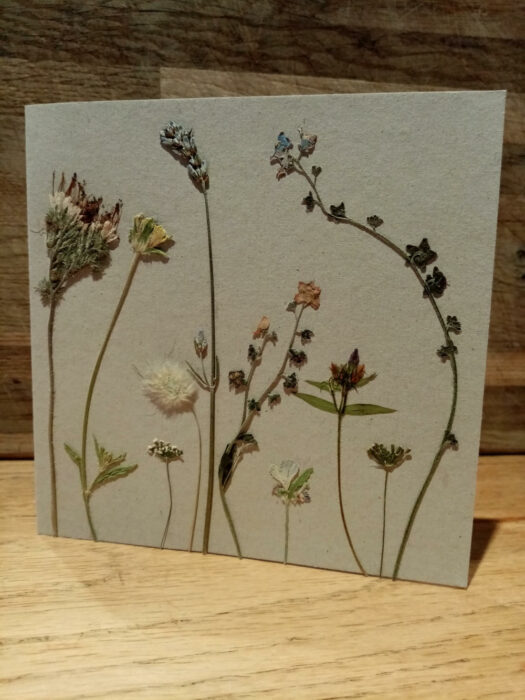 Meadow Card